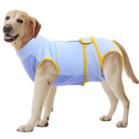 best surgical suit for neutered dogs