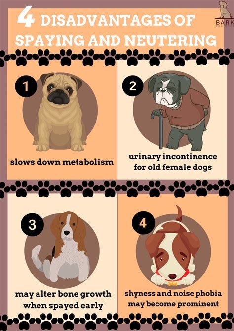 disadvantages of neutering a dog