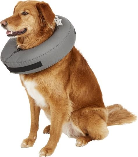 do inflatable dog collars work for neutering