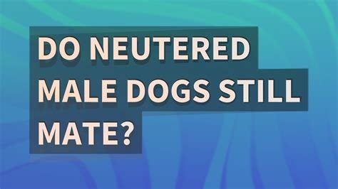 do neutered dogs still mate