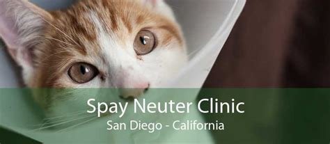 dog neutering san diego