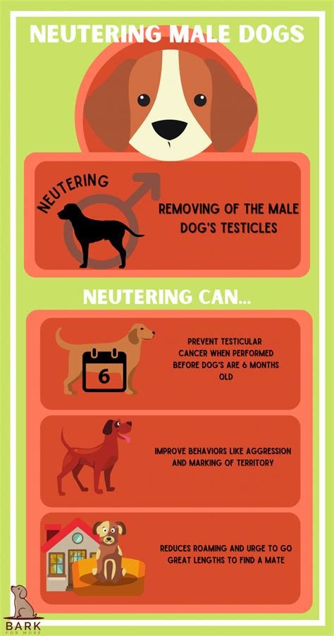 how do dogs change after neutering