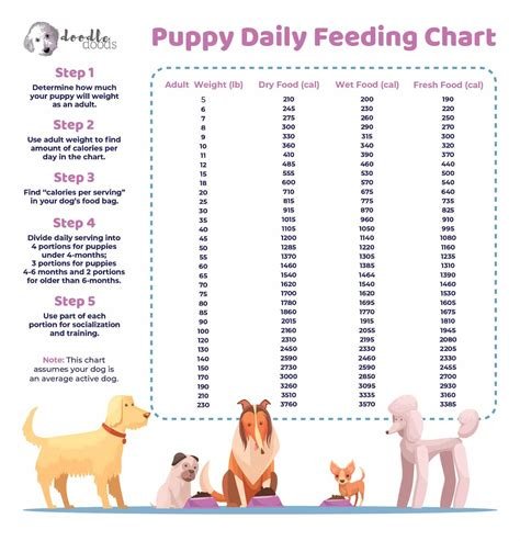 how much should i feed my dog after neutering