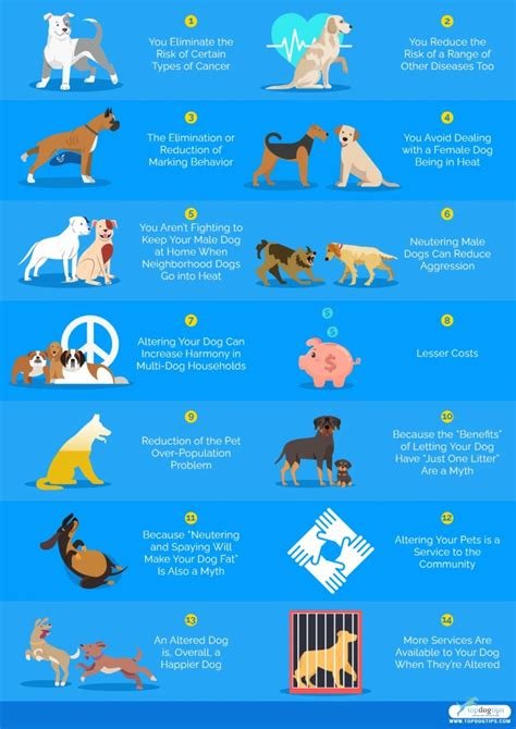 pros and cons of spaying and neutering dogs