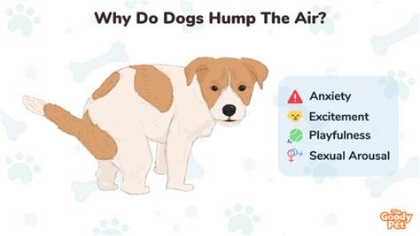 why do neutered dogs hump